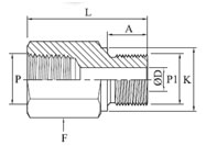 Adaptor NPT x BSPP Diagram