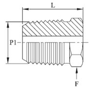 HP Hex Plug NPT Diagram