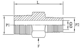 Hex Reducing Nipple Diagram