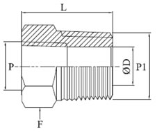 Reducing Bushing NPT x NPT Diagram
