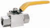 Ball Valve 2-pc HP