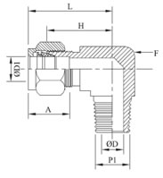 Male Elbow Diagram