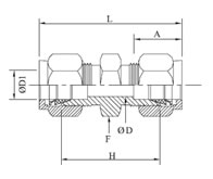 Union Diagram